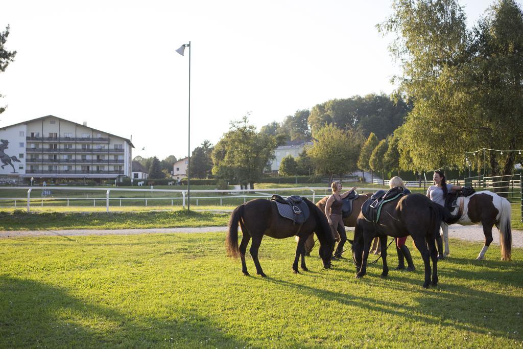Hotel Reitzentrum Hausruckhof Ampflwang im Hausruckwald Buitenkant foto